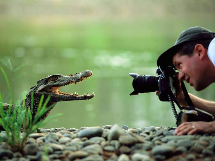Фотографы дикой природы